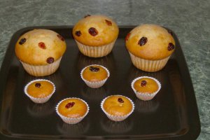 Muffins simple