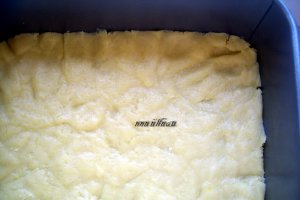 Prajitura cu branza si caise