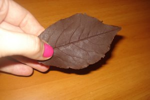 Tort Amandina