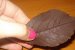 Frunze de ciocolata-5