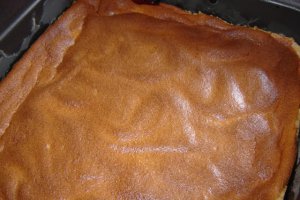 Barbusa cu prune