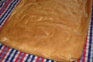 Rulada cu budinca si nectarine