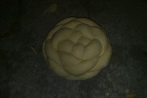 Paine de casa 2