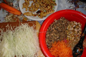 Salata de legume si piept de pui