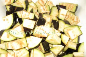 Mancarica de vara cu mamaliguta
