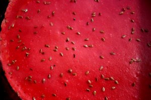 Clatite Red Velvet