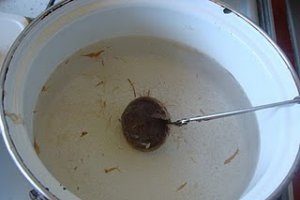 Supa Miso