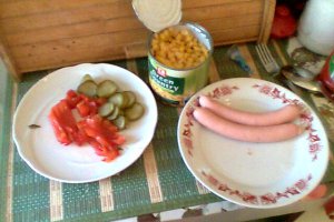 Hot dog de casa