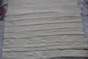 Cabanos invelit(imbracat)