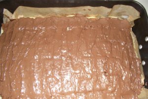 Prajitura delicioasa Nuti