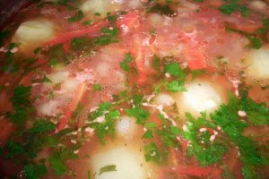 Ciorba de gulii umplute