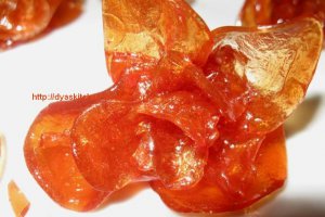Flori de zahar ars