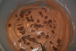 Inghetata de cacao si ciocolata