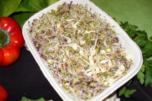 Mancarica de linte si germeni de legume