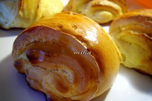 Rulouri cu branza