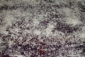 Prajitura cu portocale si afine