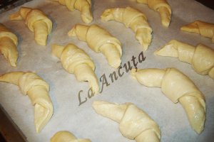 Cornuri branzoase