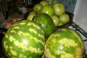 Gogonele si pepenasi in saramura a la Nico