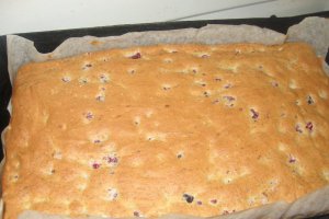 Prajitura cu fructe de padure si crema de vanilie