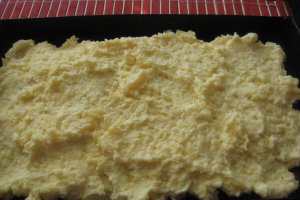 Prajitura cu fructe de padure si crema de vanilie