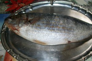 Dorada  umpluta  pe pat de legume