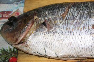 Dorada  umpluta  pe pat de legume