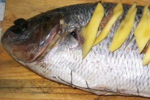Dorada  umpluta  pe pat de legume