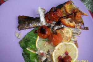 Dorada  umpluta  pe pat de legume