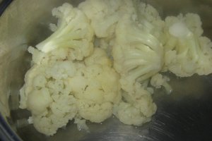Conopida cu ou