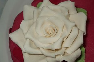 Tort inima