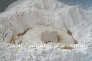 Branzoicutele bunicii