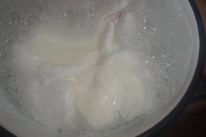Lapte de pasare