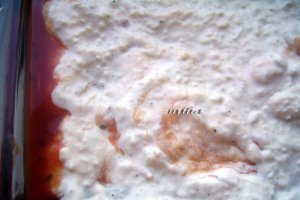 Cannelloni cu carne de pasare