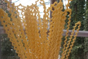 Spirale cu ciuperci