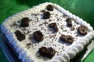 Tort cu mousse de ciocolata si menta