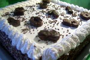 Tort cu mousse de ciocolata si menta