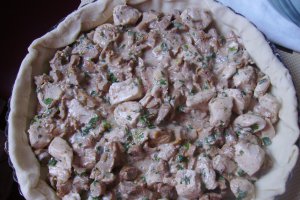 Tarta cu piept de pui si galbiori