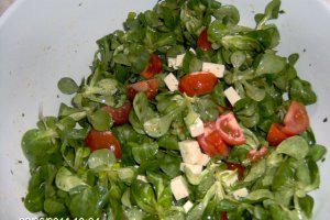 Feldsalat