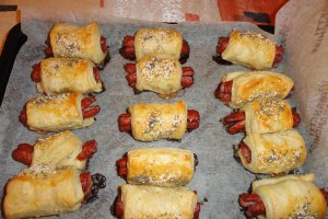 Cabanos invelit in foietaj