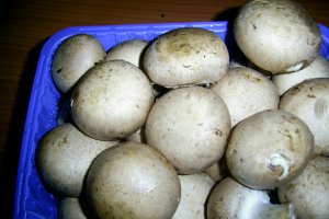 Ciorba a la grec cu legume si ciuperci