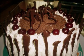 Tort 