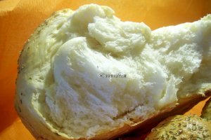 Paine impletita in 6