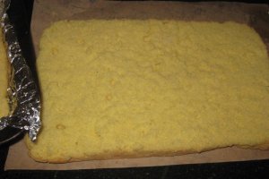 Prajitura cu iaurt si fructe de padure