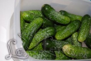Castraveti murati la borcan