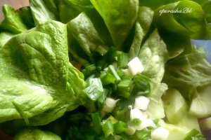 Salata verde cu rulouri de ardei copt si omleta