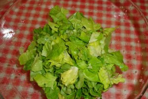 Salata de primavara