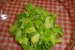 Salata de primavara-0