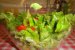 Salata de primavara-5
