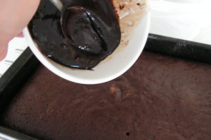 Negresa