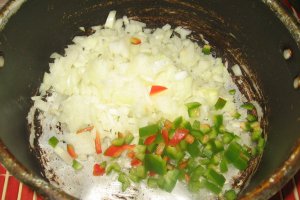 Penne rigate cu tocanita